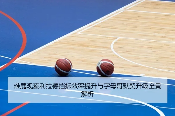 雄鹿观察利拉德挡拆效率提升与字母哥默契升级全景解析